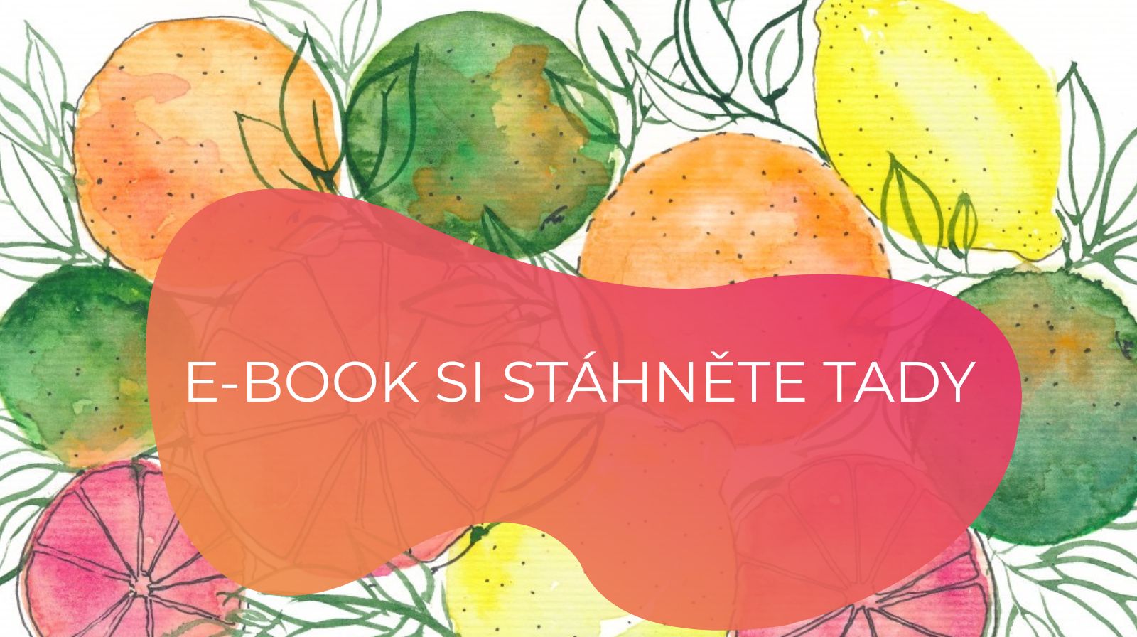 E-BOOK SI STÁHNĚTE TADY